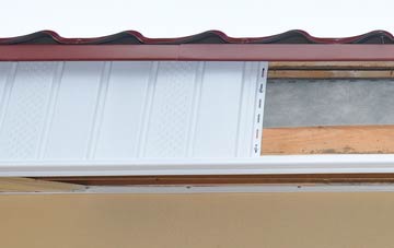 Forge fascia repair costs