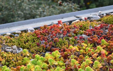 the cost of Forge green roof installation