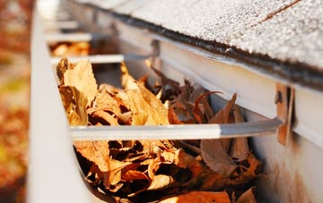 Forge gutter cleaning companies
