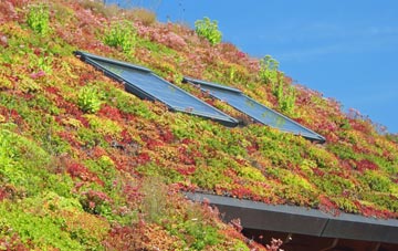 Forge living roof systems