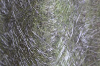 Forge fibreglass roof work