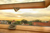 rated Forge roof window companies